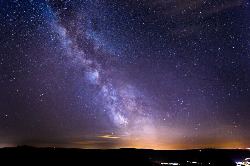Starlit Meadows